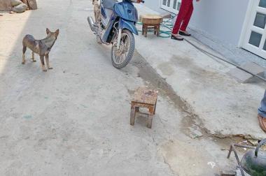Bán nhà 1 lửng đúc hẻm 477 Nguyễn Bình Phú Xuân Nhà Bè.