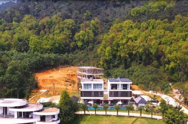 Biệt thự nghỉ dưỡng cao cấp Rolling Hill Resort Đồi Phong Ba Vì. Sống sang chốn thiên nhiên