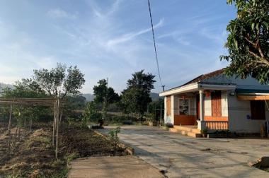 CẦN NHÀ ĐẦU TƯ GHÉ CHƠI..
