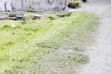 780 triệu đức hòa thượng long an 90m2 thổ cư đường đá xanh 3m có 2 lô liền kề giá đầu tư