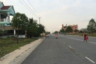 Chuyển định cư GĐ tôi cần sang rẻ lại lô đất 300m và căn nhà trọ 16p gđ đang kinh doanh giá đầu tư