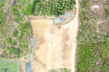 6,620 m2 đất  Full hồng mặt tiền dài miên man, 1 Xẹt đường Vành đai IV, Giáp hồ Cầu Mới Bàu Cạn