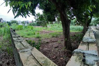 Lô góc 1678m2 đất Thổ và Vườn tại Vạn Hưng, Vạn Ninh gần KCN Dốc Đá Trắng.