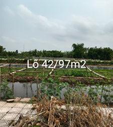Bán Lô Đất Vị Trí Đắc Địa Tại Khu TDC Hồng Thái