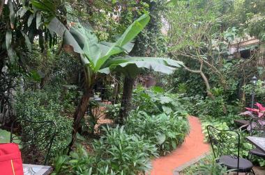 Từ Hoa view Hồ Tây hotel, apartment siêu đỉnh nhỉnh 150 tỷ