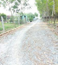 Cần Bán Lô Đất Vị Trí Đẹp Tại Thị Trấn Lai Uyên 71 - Huyện Bàu Bàng
