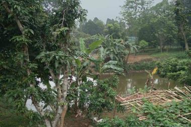 Bán nhà Lương Sơn - Hoà Bình - 11.500m2 - giá 17 tỷ