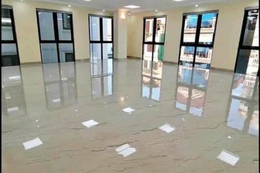 Độc nhất Cầu Giấy Lạc Long Quân phân lô oto vỉa hè 60m2 mt5m 12tỷ kinh doanh tốt .