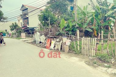 CHÍNH CHỦ BÁN LÔ ĐẤT A26 KHU DỊCH VỤ TÂN NGỌC, BÁ HIẾN, BÌNH XUYÊN, VĨNH PHÚC