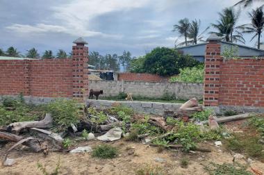 Cần bán lô đất hơn 600m2 ở thôn hòa an, xã xuân cảnh, sông cầu phú yên.