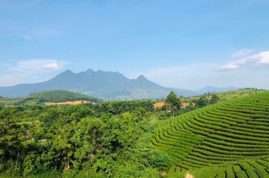 BÁN ĐẤT NGHỈ DƯỠNG PHƯỢNG MAO - THANH THỦY - PHÚ THỌ