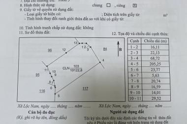 CHÍNH CHỦ BÁN SIÊU PHẨM ĐẤT NGHỈ DƯỠNG THUỘC THÔN 5, XÃ LỘC NAM, BẢO LÂM, LÂM ĐỒNG.