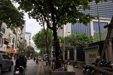 Bán nhà Mặt phố Lạc Trung 185m2 – MT6.6 – 6 tầng , thang máy 56 tỷ	