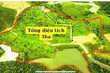 Bán siêu phẩm 3 ha view hồ đại ninh thuộc ninh gia đức trọng 500tr/1 sào