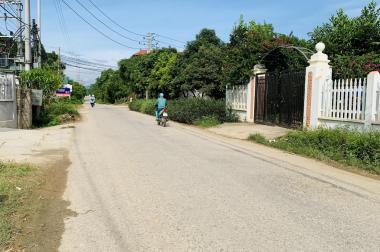 Bán đất mặt đường 317C - Thắng Sơn - Thanh Sơn - Phú Thọ