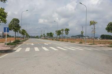 Bán đất giai đoạn 2,Lô E4-28-24: 125m2 KĐT Nam Vĩnh Yên.