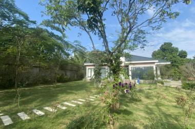 Chính chủ chuyển công tác nên bán biệt thự tâm huyết tự xây Thụy An, Ba Vì, Hà Nội