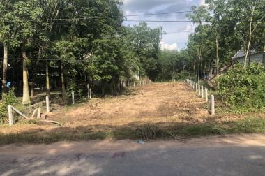 CHÍNH CHỦ CẦN BÁN GẤP ĐẤT LONG NGUYÊN GIÁ ĐẦU TƯ