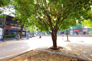 MP Đường Lạc Long Quân, Kinh Doanh, 161m2 MT8 giá 50 tỷ