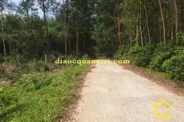 Đất Thanh An Cam Lộ Quảng Trị Gần Ngã Tư Sòng Giá Đầu Tư