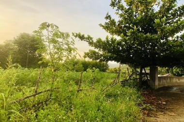 CHÍNH CHỦ CẦN BÁN ĐẤT TẠI HUYỆN QUẢNG TRẠCH, TỈNH QUẢNG BÌNH