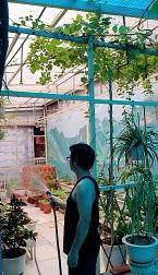 CHÍNH CHỦ BÁN NHÀ TRONG NGÕ 260 CẦU GIẤY, PHƯỜNG QUAN HOA (KHU VĂN CÔNG CẦU GIẤY)