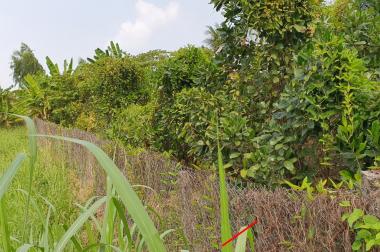 CHÍNH CHỦ CẦN BÁN ĐẤT PHƯỜNG BÌNH TÂM, THÀNH PHỐ TÂN AN, LONG AN .SÁT ĐƯỜNG TRẦN VĂN HÝ