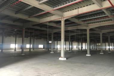 CHO THUÊ NHÀ XƯỞNG CAO TẦNG 12.000M2 KCN TÂN ĐỨC, ĐỨC HÒA, LONG AN