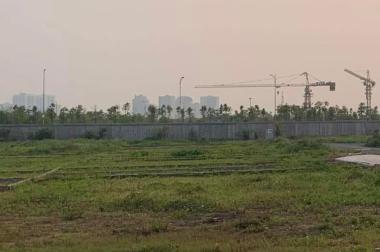 Đất dịch vụ 25.2 ha Vân Canh, 2 mặt tiền, 2 vỉa hè, đường ô tô tránh chạy vòng quanh