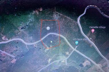 Chính chủ cần bán hơn 2,2ha đất view hồ Daklong Thượng, đất chưa qua đầu tư