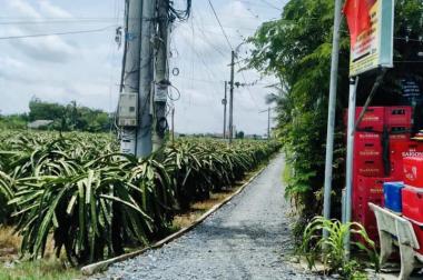 109m2 đất thổ phước tân hưng châu thành long an chỉ 380tr