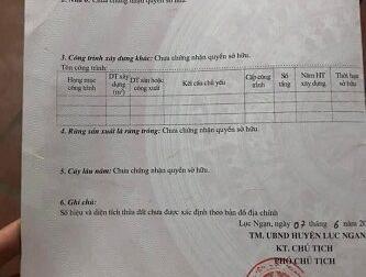 Bán đất tại Thôn Hiệp Sơn, Xã Biên Sơn, Huyện Lục Ngạn, Tỉnh Bắc Giang