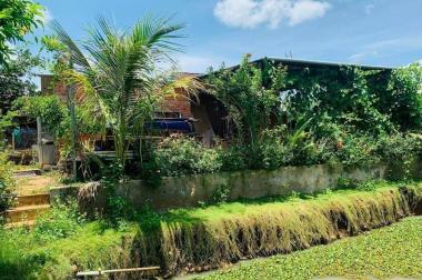 Bán nhà vườn xinh xắn 1000m2 thuộc hẻm 30 đường 19/5 - giá chỉ 1.5 tỷ