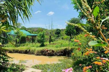 Bán nhà vườn xinh xắn 1000m2 thuộc hẻm 30 đường 19/5 - giá chỉ 1.5 tỷ
