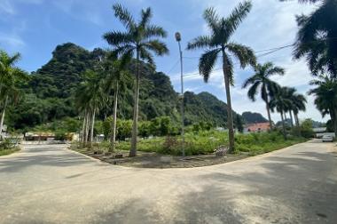 SIÊU PHẨM LÔ ĐẤT DỰ ÁN KM13 QUANG HANH, CẨM PHẢ. GIÁ CHỈ 1,5 TỶ.