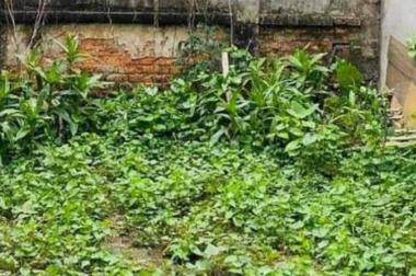 Xuân Phương, mảnh đất còn sót lại, mặt ngõ thông, ô tô, kinh doanh