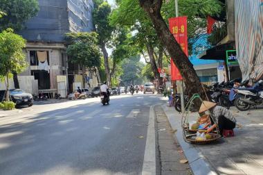 Bán mặt phố Tô Hiến Thành, Hai Bà Trưng, ôtô, KD sầm uất 220mxMT10m 162 tỷ. LH 0366051369