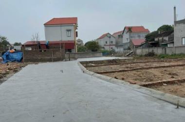 Hàng F0 chuẩn net chưa qua đầu tư tại Thuần Mỹ, Hòa Phong, Hưng Yên