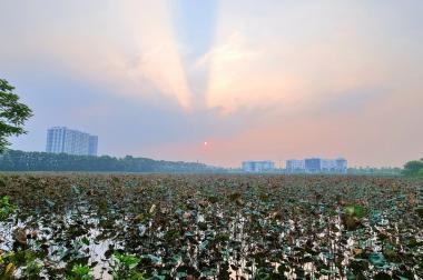 200922 Đất phố kinh doanh 72m2, mặt tiền gần 8m ngay tại trung tâm Trâu Quỳ, Gia Lâm. Lh