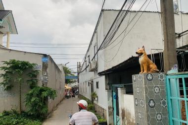 CẦN BÁN ĐẤT ẤP 5, VĨNH LỘC A, BÌNH CHÁNH.