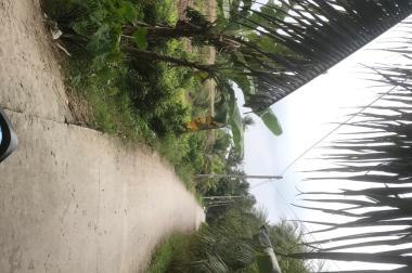 CHÍNH CHỦ bán gấp đất vị trí đẹp tại xã Đông Hòa Hiệp, Cái Bè, Tiền Giang