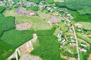 CẦN BÁN 2 LÔ LIỀN KỀ TẠI XÃ KHÁNH BÌNH HUYỆN KHÁNH VĨNH, KHÁNH HOÀ