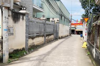 Bán đất giá rẻ đường Đinh Quang Ân, Phước Tân, Biên Hòa, gần vòng xoay cổng 11 