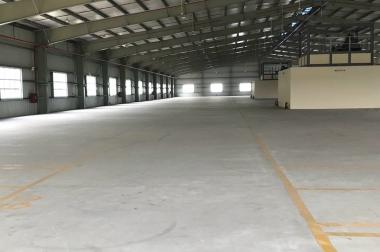 X171. Cho thuê kho xưởng Kcn Tân Đức, Phú An Thạnh, Thịnh Phát, Thuận Đạo, Phúc Long, huyện Bến Lức, Long An.