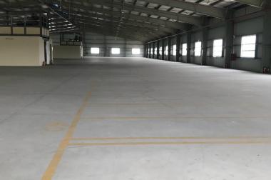 X171. Cho thuê kho xưởng Kcn Tân Đức, Phú An Thạnh, Thịnh Phát, Thuận Đạo, Phúc Long, huyện Bến Lức, Long An.