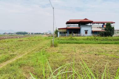 Băng 2 TL 317 ĐOAN HẠ 2 ô đất liền kề vuông vắn giá đầu tư rẻ nhất thị trường 