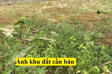 Chính chủ cần BÁN NHÀ VÀ ĐẤT tại Ngõ 1218, Tổ 9, Thị trấn Việt Quang, Bắc Quang, Hà Giang 0838581977.