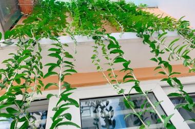 CHÍNH CHỦ BÁN NHÀ MỚI ĐẸP 76/41 TÂN HƯƠNG, P. TÂN QUÝ, Q. TÂN PHÚ, HỒ CHÍ MINH.