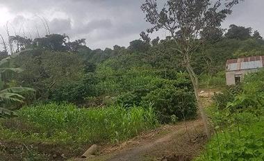 CHÍNH CHỦ BÁN VƯỜN NHÀ TẠI TÂN PHÚ 2, XÃ ĐINH LẠC, DI LINH, LÂM ĐỒNG.