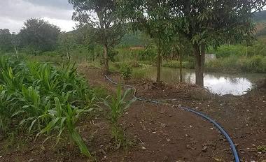 CHÍNH CHỦ BÁN VƯỜN NHÀ TẠI TÂN PHÚ 2, XÃ ĐINH LẠC, DI LINH, LÂM ĐỒNG.